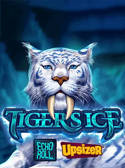 টাইগারের বরফ